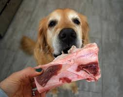 Best Raw Food Diet For Dogs